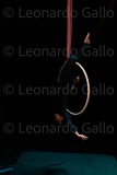 LEO_3052