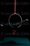 LEO_3053