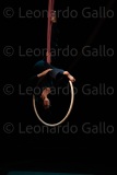 LEO_3067