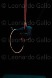 LEO_3071