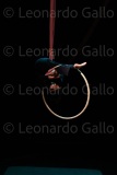 LEO_3072