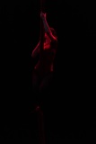 LEO_9946