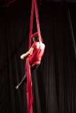 LEO_9951