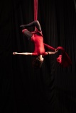 LEO_9959