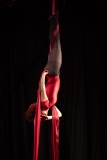 LEO_9967