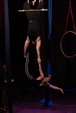 LEO_0429