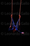 LEO_3893