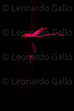 Cabare-Burlesco-2022-828